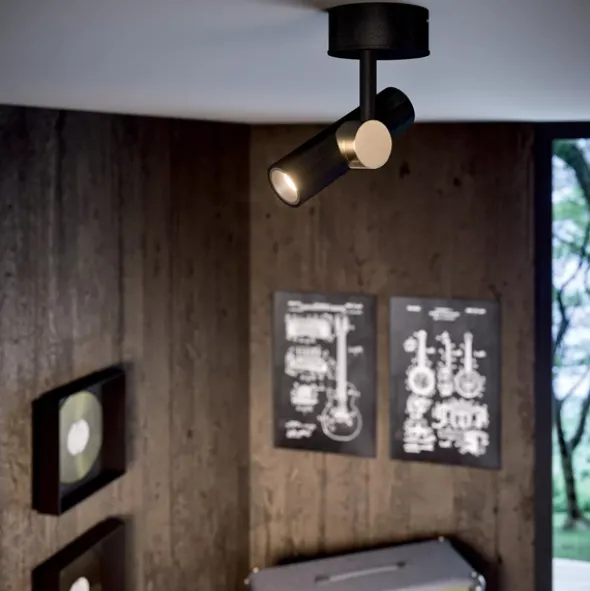 Goose proiettore da soffitto